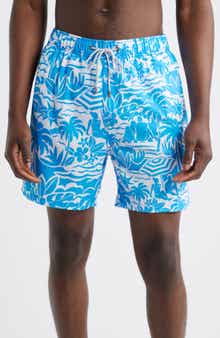 Vintage Summer Volley Swim Trunks