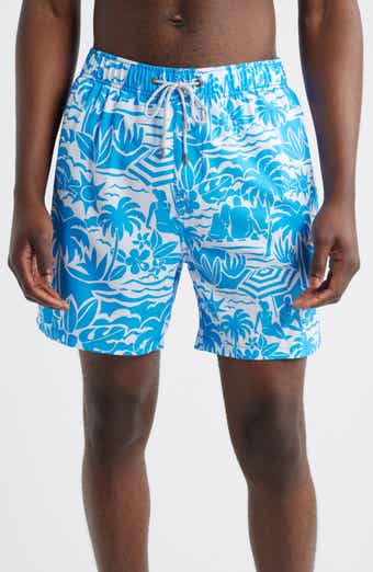 Vintage Summer Volley Swim Trunks