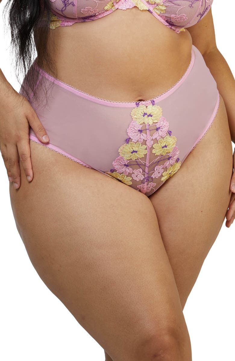 Playful Promises Luna Pastel Garter Belt | Nordstrom Playful Promises Luna Pastel Garter Belt | Nordstrom