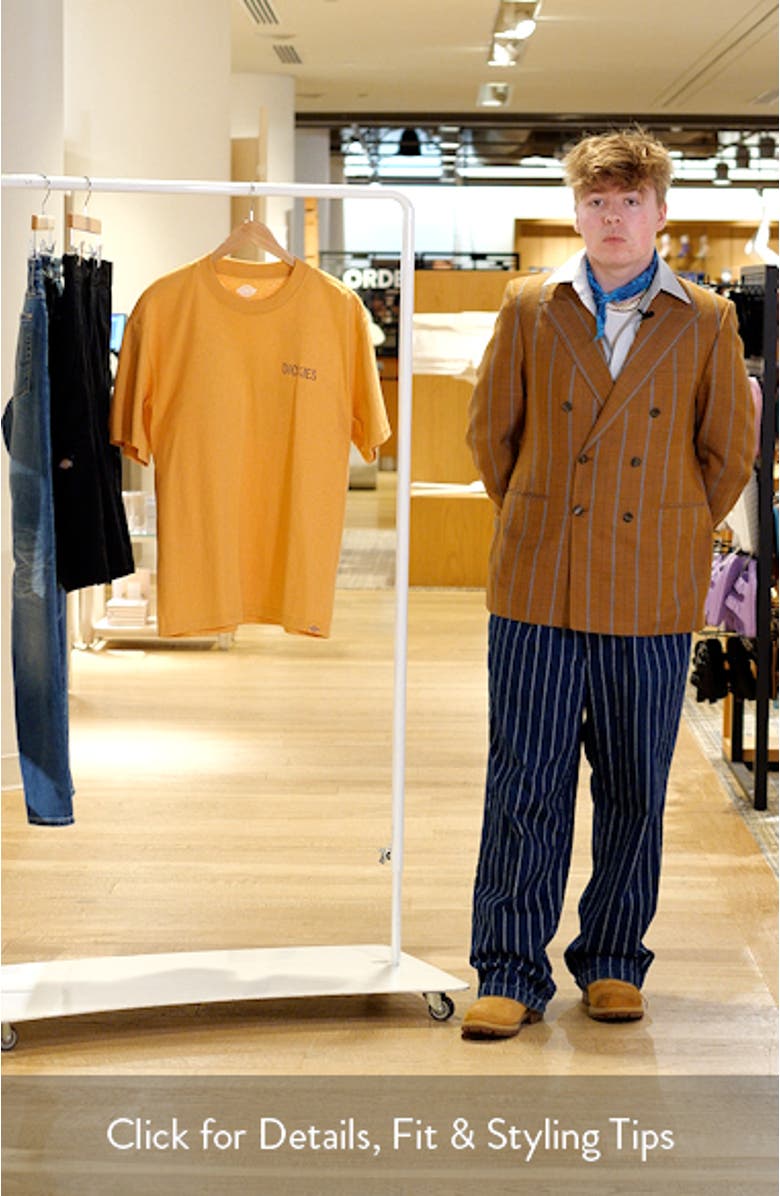 Companion Logo Graphic T-Shirt, sales video thumbnail