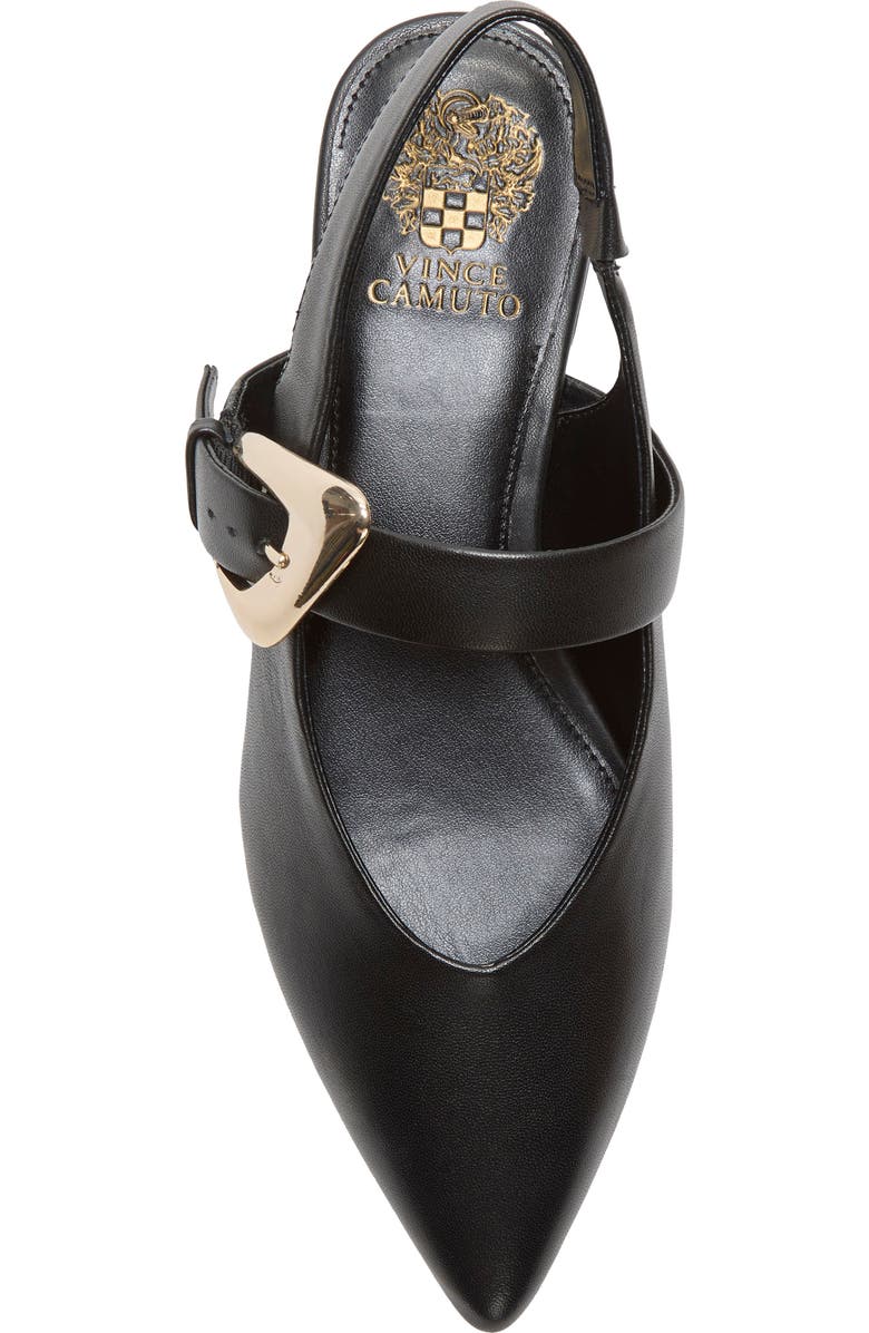 Vince Camuto Amoret Pointed Toe Slingback Flat, Alternate, color, Black