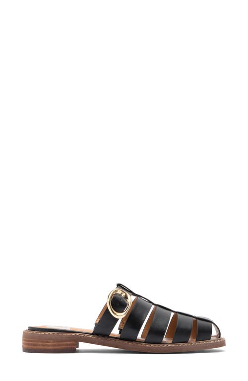 Dolce Vita Dv By  Fyona Mule Sandal In Black