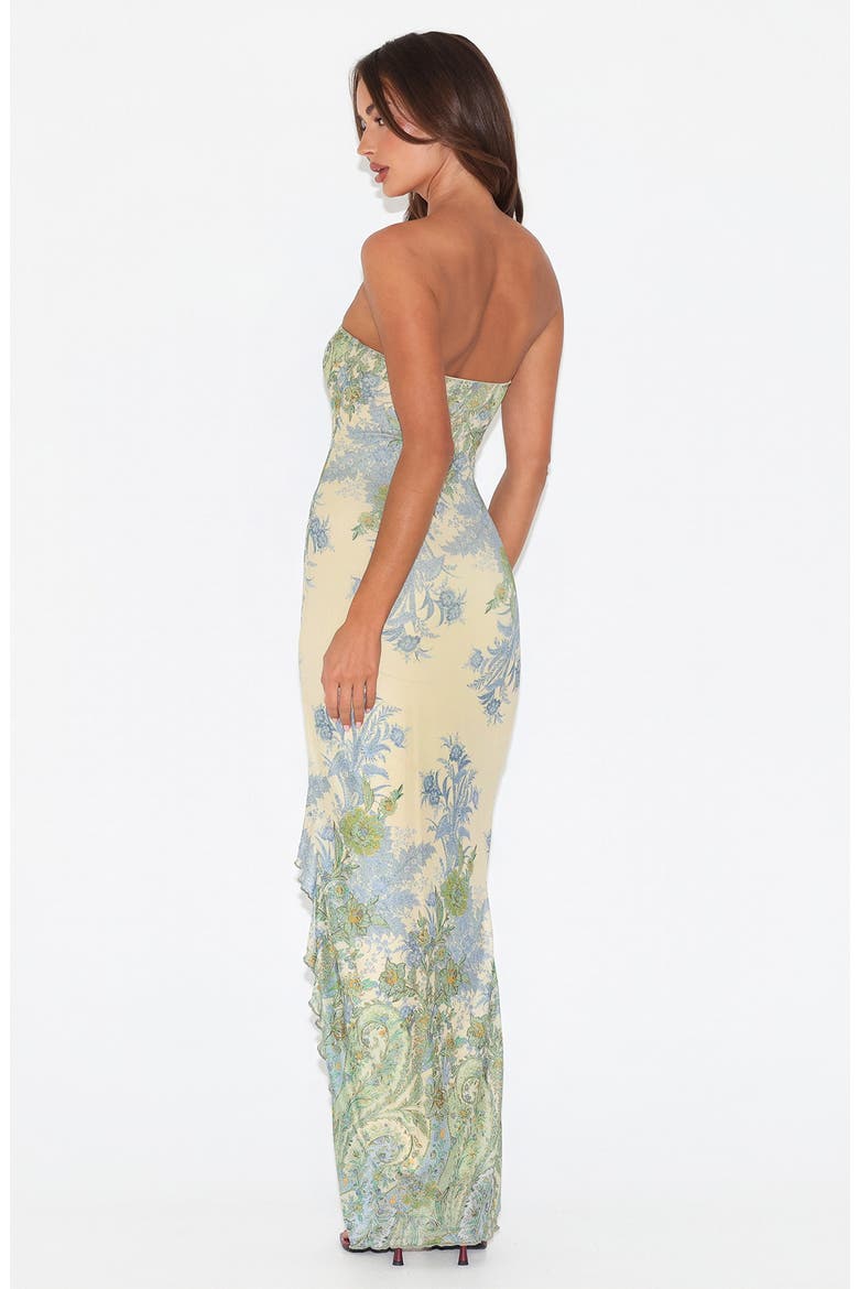 Theo Floral Strapless Mesh Maxi Dress, Alternate, color, PAISLEY TAPESTRY