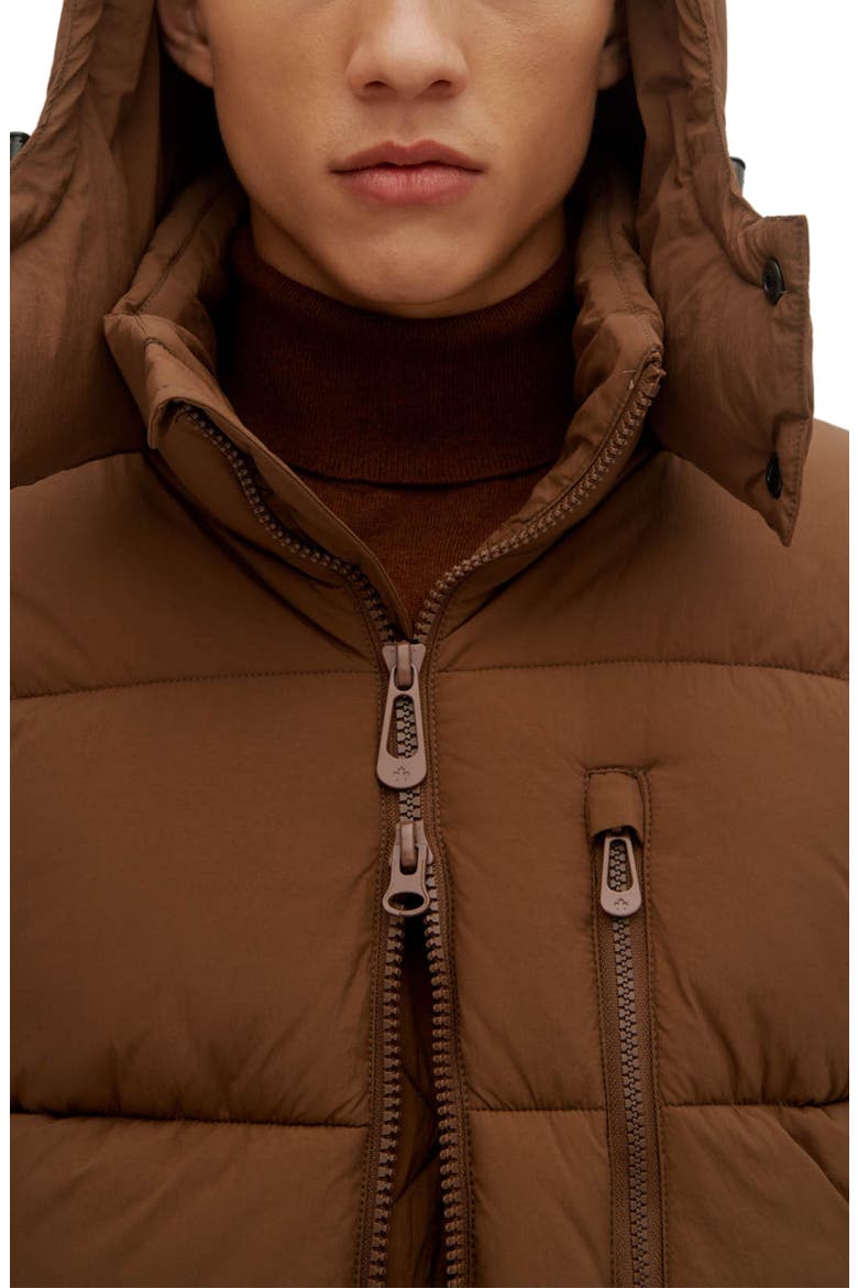 Baltimore Puffer, Alternate, color, EARTH