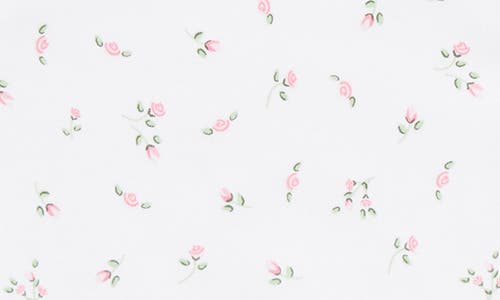 Kissy Kissy Garden Roses Ruffle Bubble Romper In White