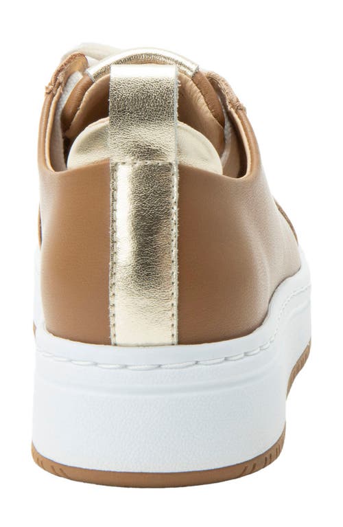 Alegria By Pg Lite Adysen Platform Sneaker In Brown