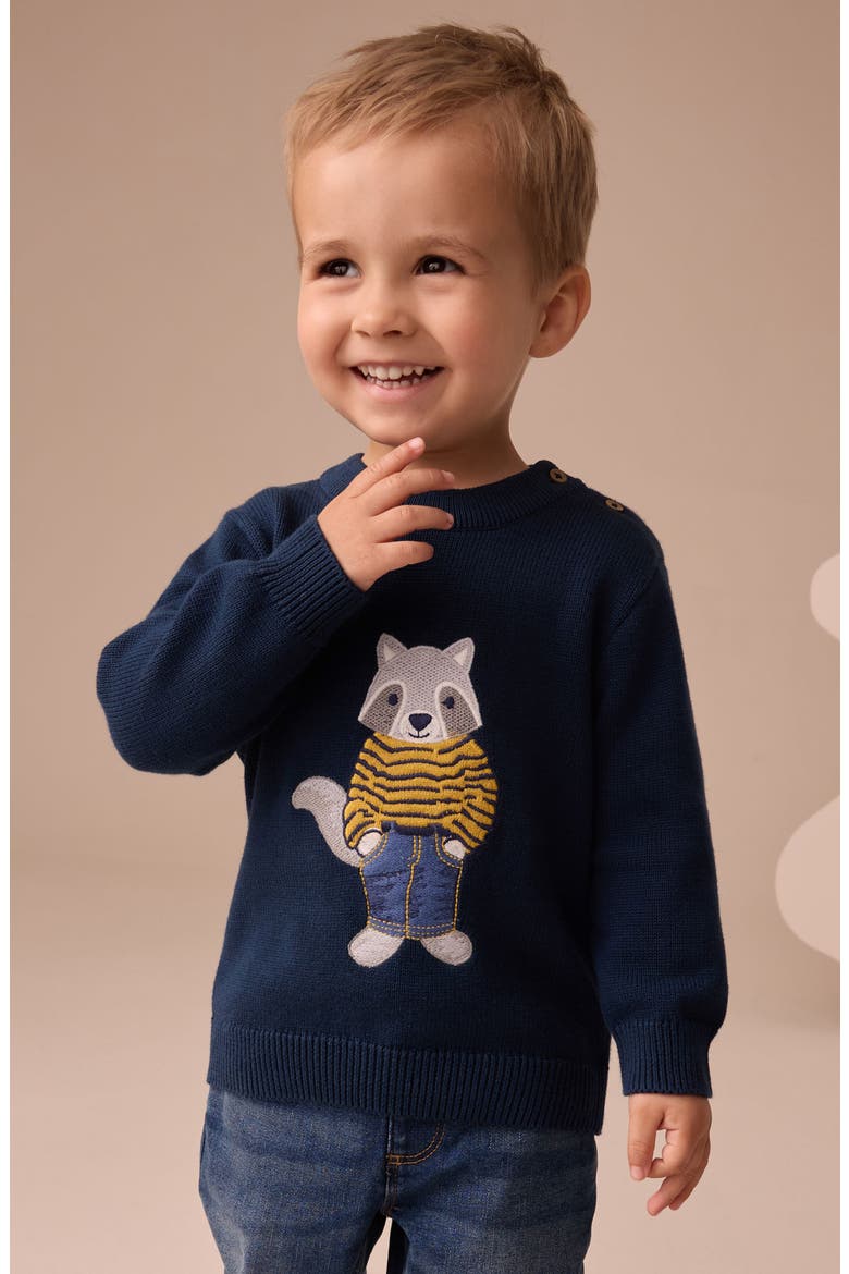 Kids' Raccoon Appliqué Sweater, Alternate, color, BLUE