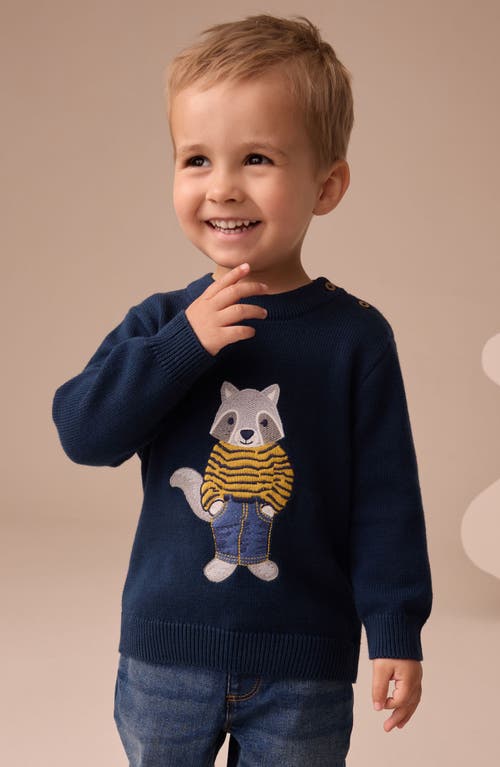 Next Kids' Raccoon Appliqué Sweater In Blue