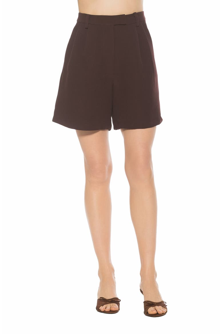 Dia High Waist Pleated Shorts, Main, color, BURGUNDY