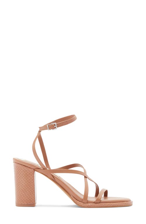 Dolce Vita Barly Sandal In Cider