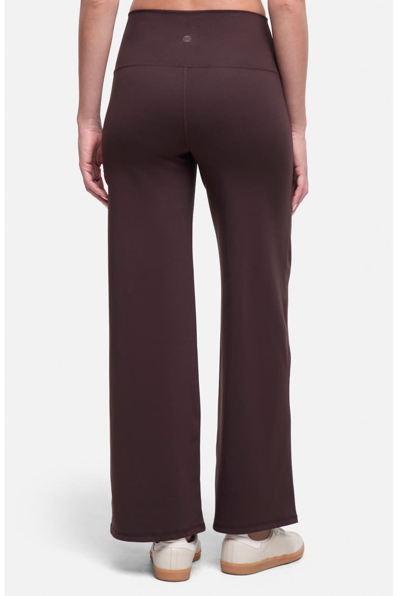 Lizzie Wide Leg Pants, Alternate, color, MOLE