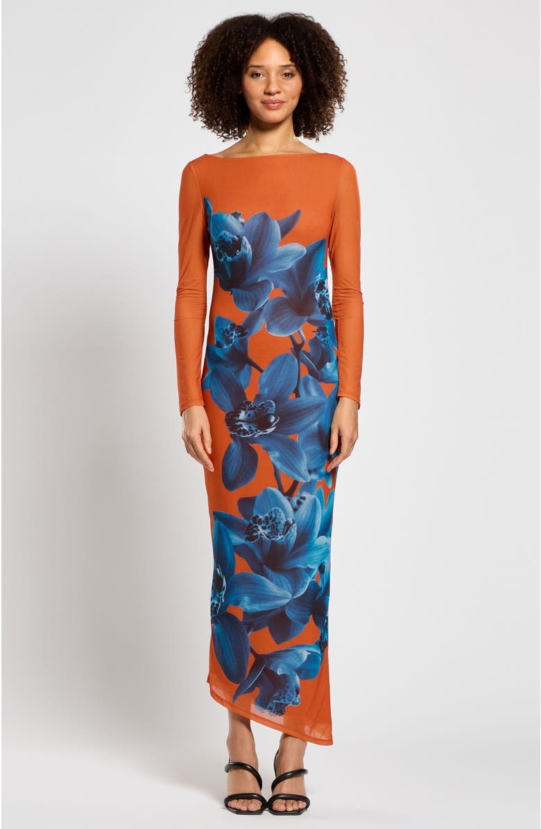 Daska Laila Dress, Main, color, Floral Print