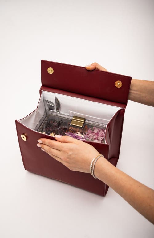 Modern Picnic The Luncher In Red