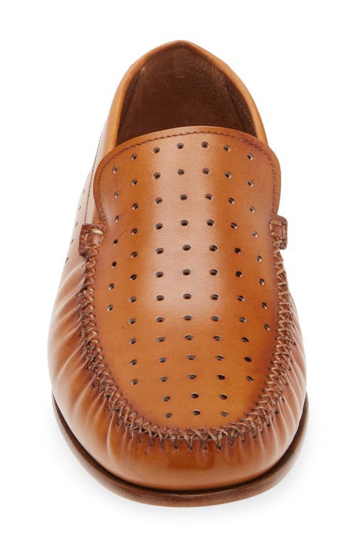 Mezlan Perforated Moc Toe Loafer In Cocoa