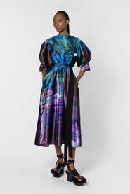 Roksanda Zinnia Printed Puff Sleeve Dress