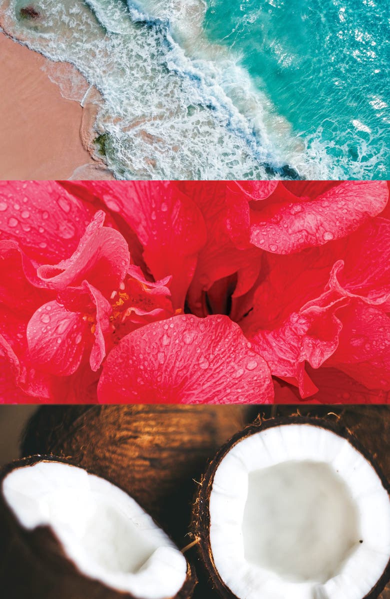 BADGLEY MISCHKA Château Vizcaya Extrait de Parfum $125 Value, Alternate, color, Pink