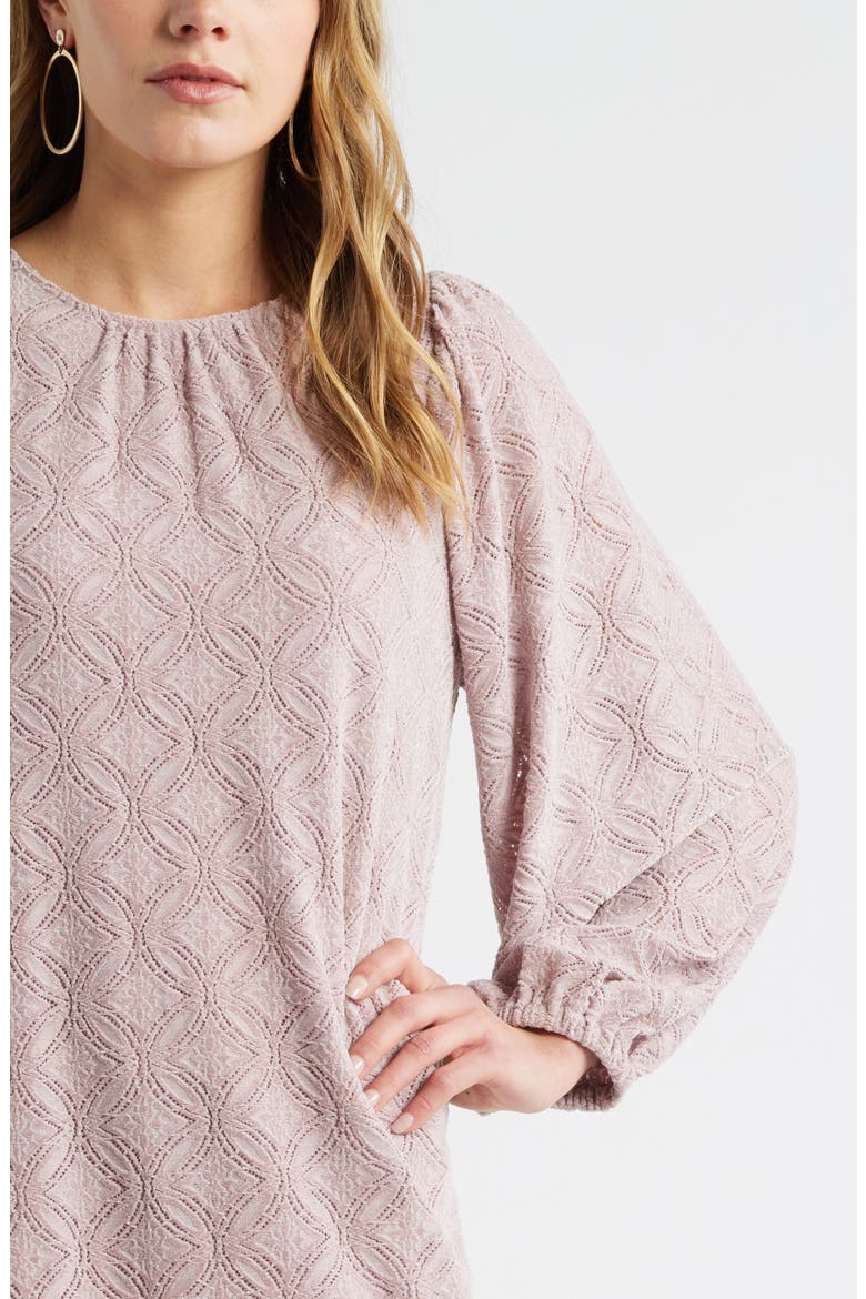 Long Sleeve Drop Waist Chenille Minidress, Alternate, color, PINK ADOBE