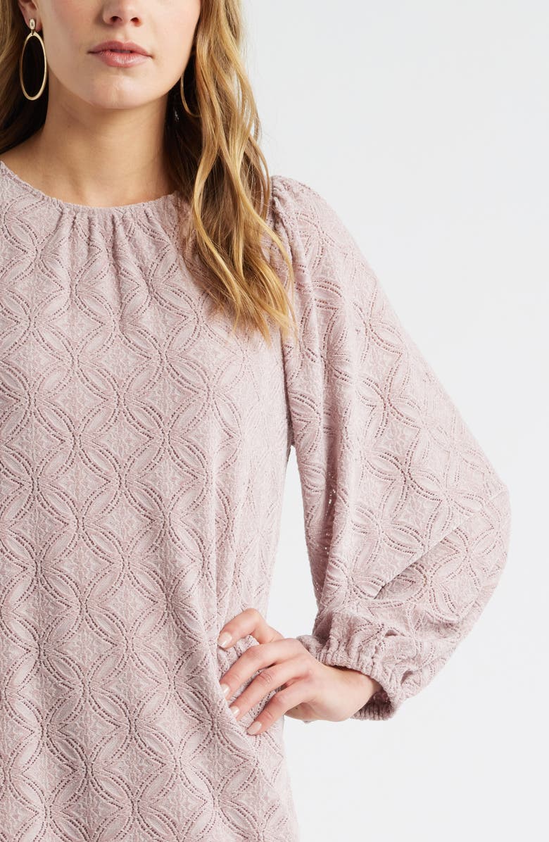 Treasure & Bond Long Sleeve Drop Waist Chenille Minidress, Alternate, color, Pink Adobe