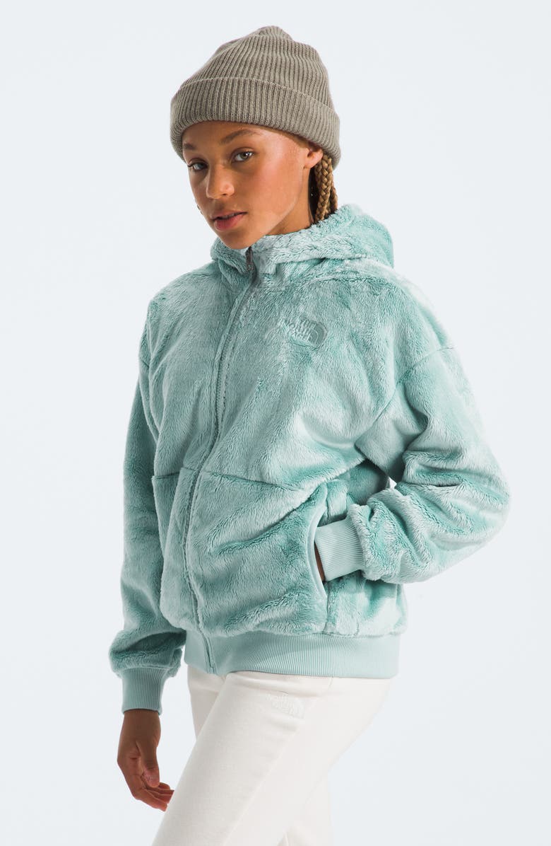 The North Face Kids' Osito High Pile Fleece Full Zip Hoodie, Alternate, color, 