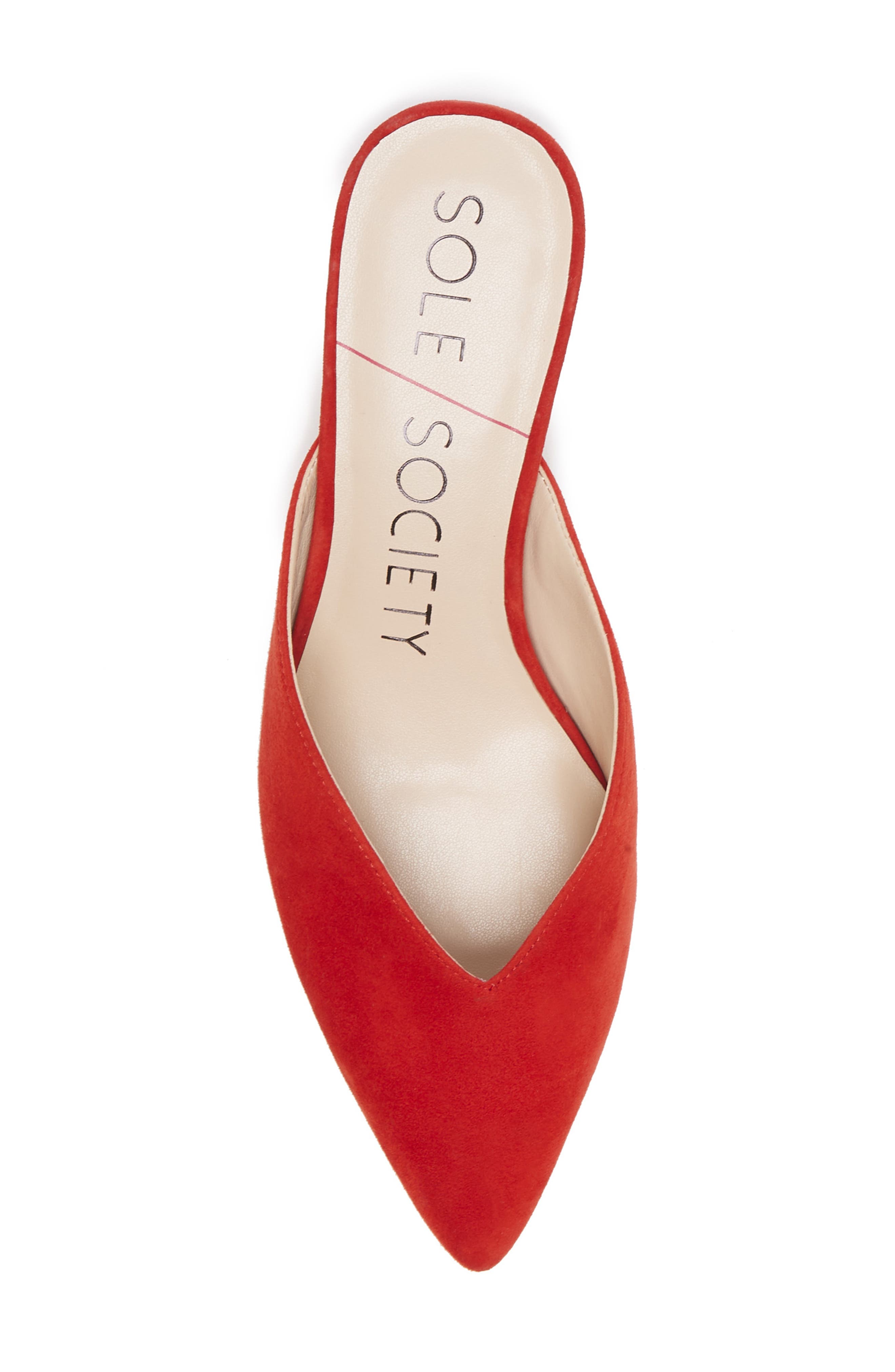 Maleah Pointy Toe Mule, Alternate, color, BRIGHT RED SUEDE