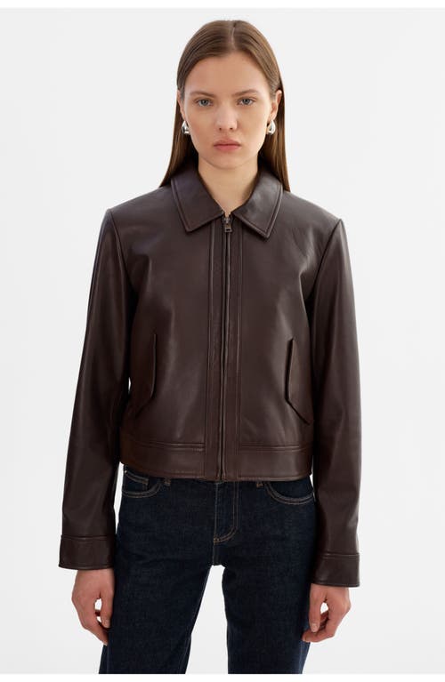 Lamarque Tess | Leather Jacket In Brown