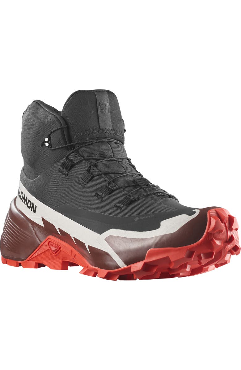 Salomon Cross Hike 2 Mid GTX Shoe, Main, color,