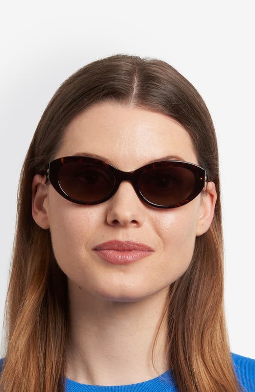 Kate Spade New York Caeley 52mm Oval Sunglasses In Black