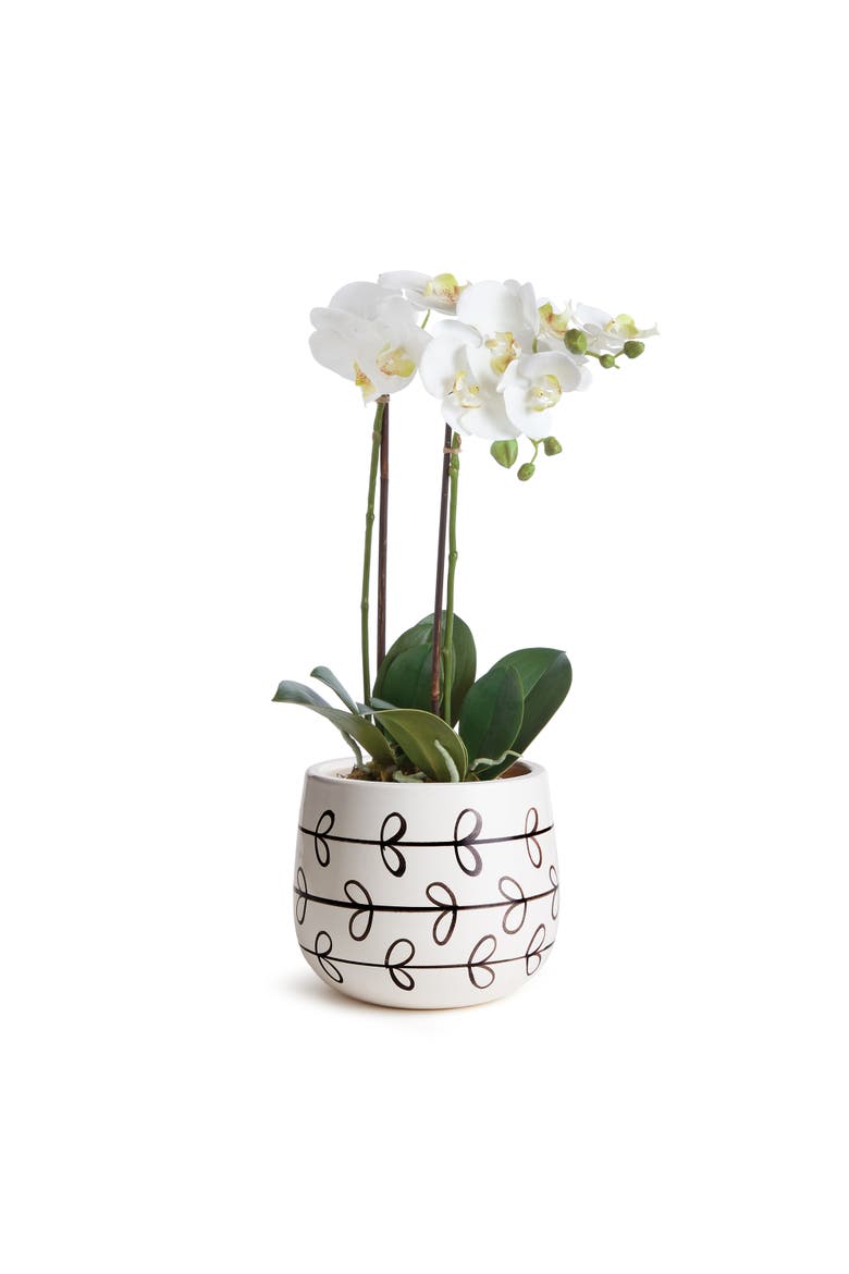 Millie Hand-Painted Pot, Alternate, color, White