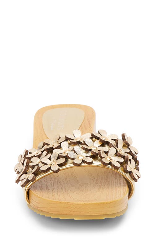 Coconuts By Matisse Chelsea Slide Sandal In Gold