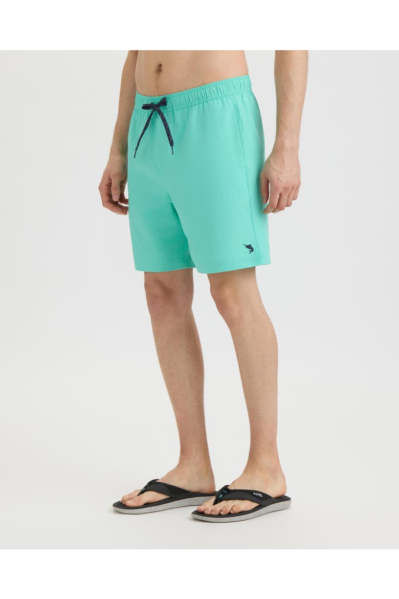 Weekender Vapor Stretch Aquatrunk, Alternate, color, Glass