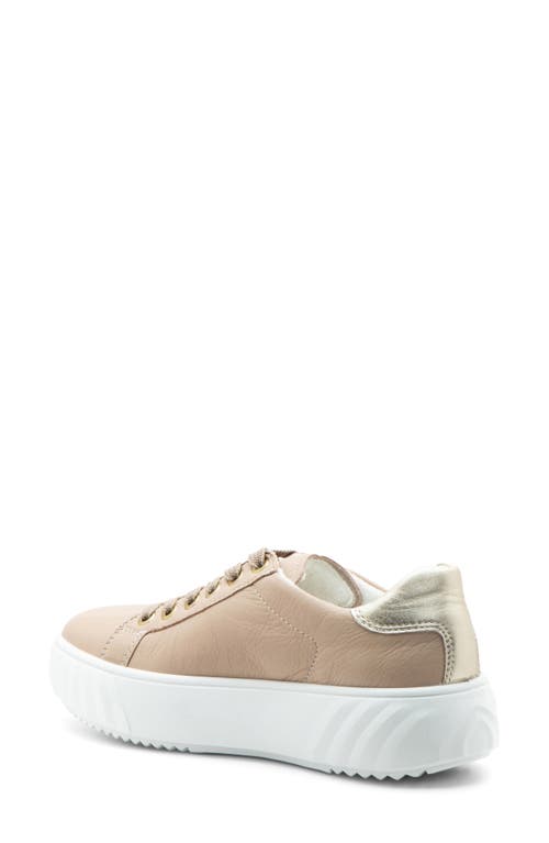 Ara Mikky Platform Sneaker In Neutral