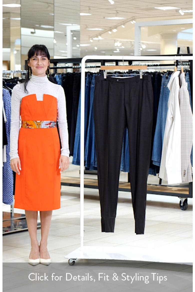 Siena Regular Fit Flat Front Solid Wool Suit Pants video