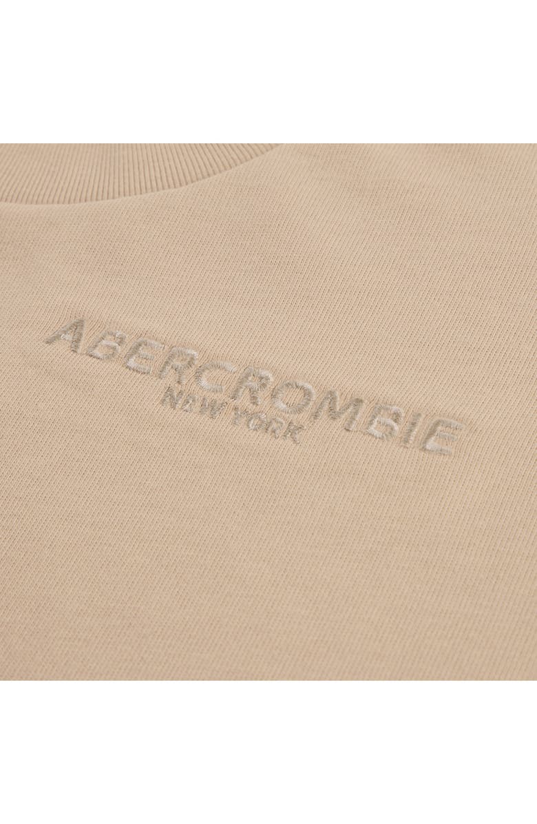 abercrombie kids Kids' Sunfaded Logo T-Shirt, Alternate, color, Simply Taupe