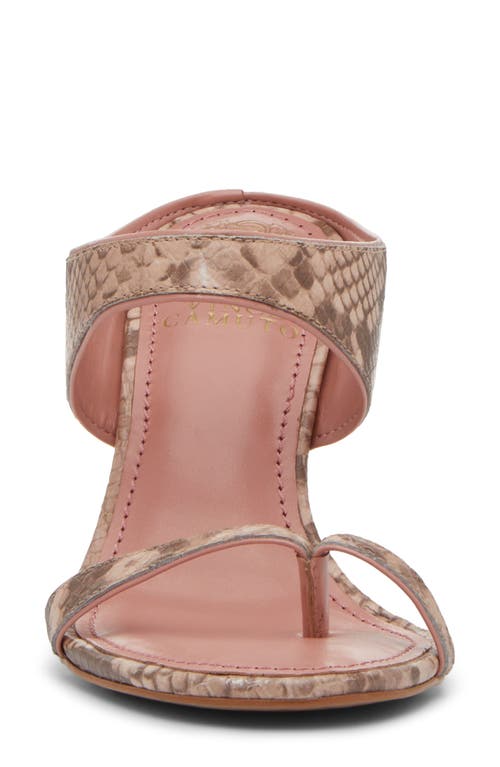 Vince Camuto Brisa Sandal In Pale Pink