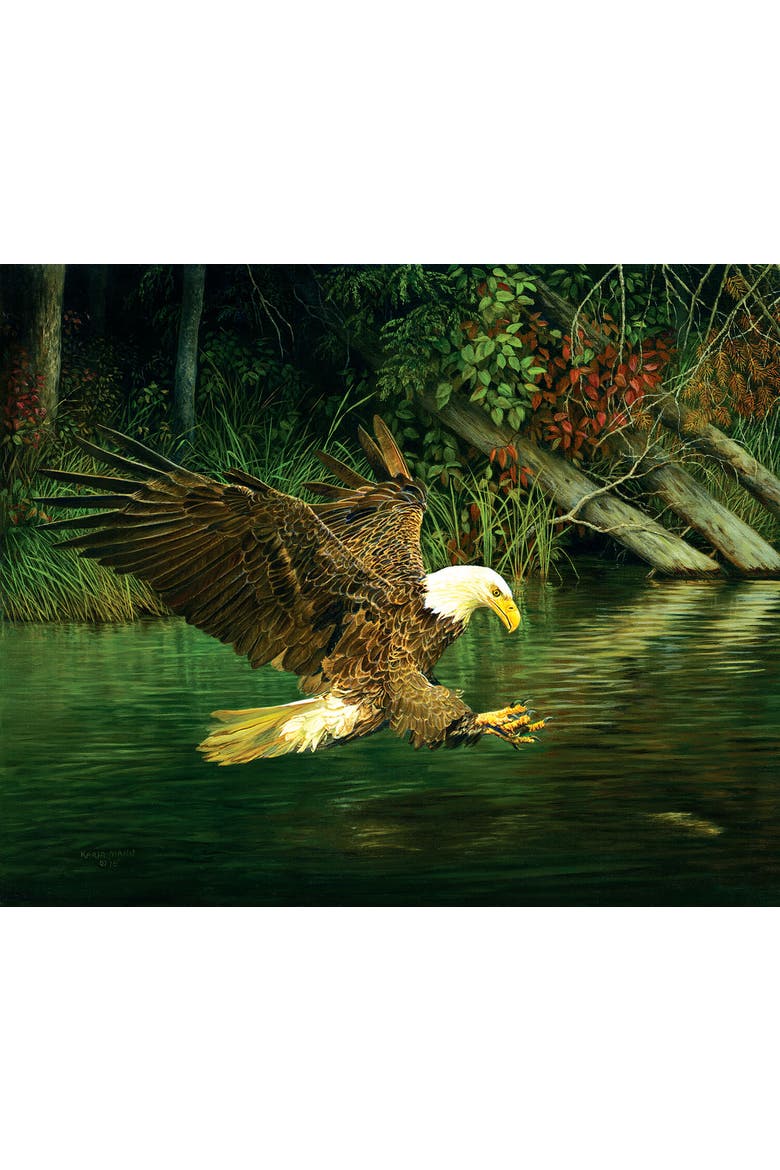 Catching Dinner 1000 piece Jigsaw Puzzle for Adults, Alternate, color, Multicolor