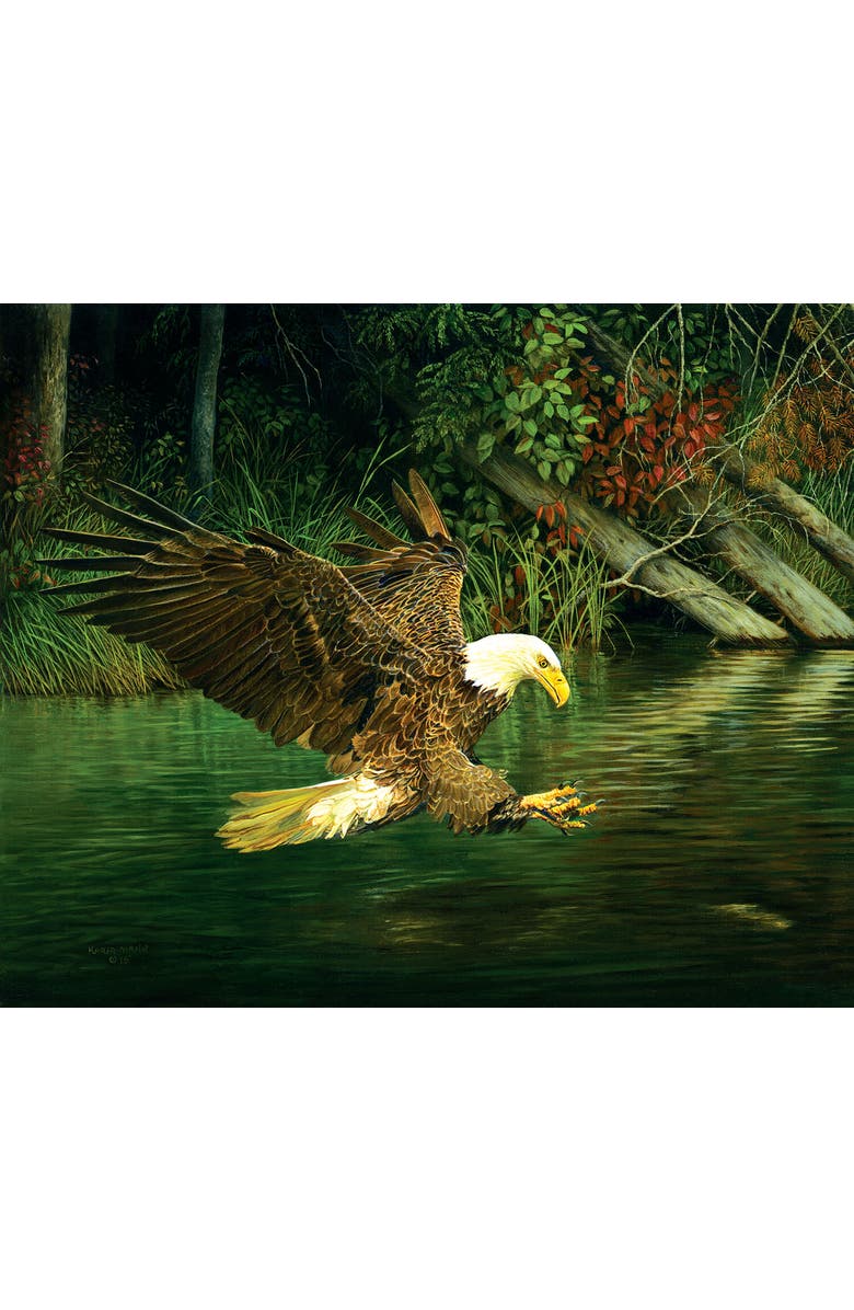 Sunsout Catching Dinner 1000 piece Jigsaw Puzzle for Adults, Alternate, color, 
