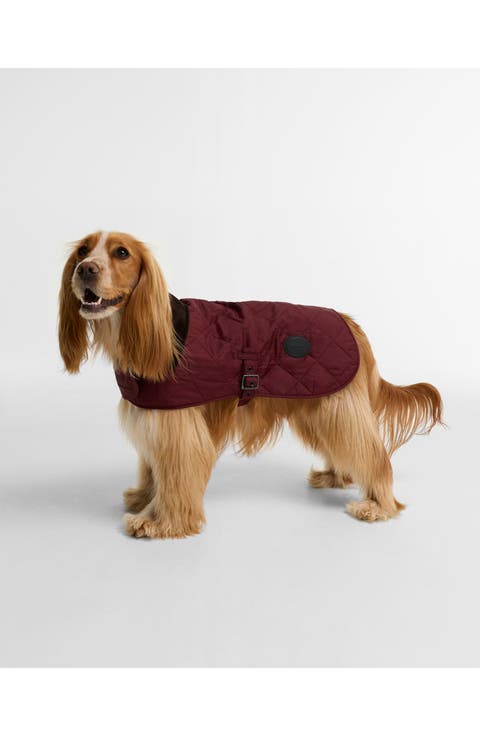 Quilted Nylon Dog Coat