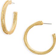 Karine Sultan Maxi Dotty Hoop Earrings