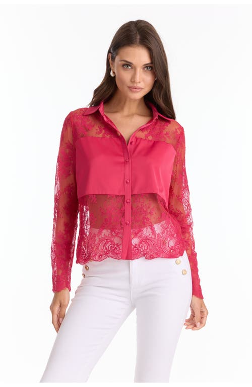 The Noli Shop Vienna Lace Blouse In Pink