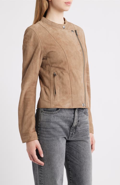 Frye Classic Biker Suede Jacket In Brown