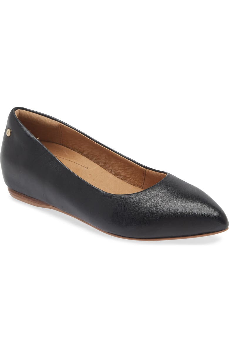 FRANKIE4 Poppy Pointed Toe Flat, Main, color,