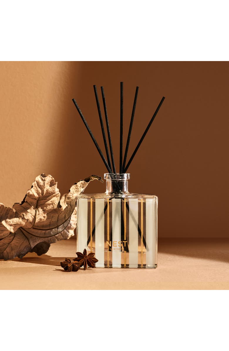 NEST New York Pumpkin Chai Reed Diffuser, Alternate, color,