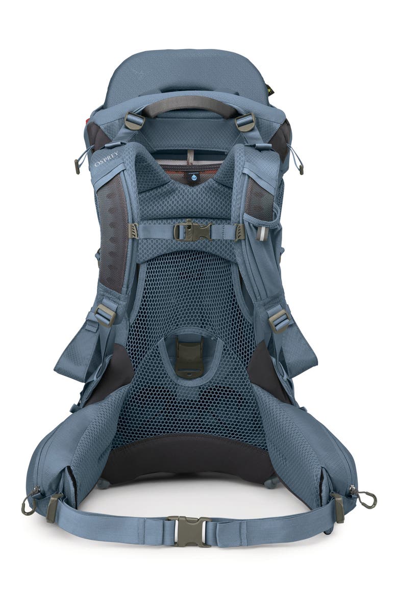 Poco™ Premium Child Carrier, Alternate, color, TIDAL BLUE