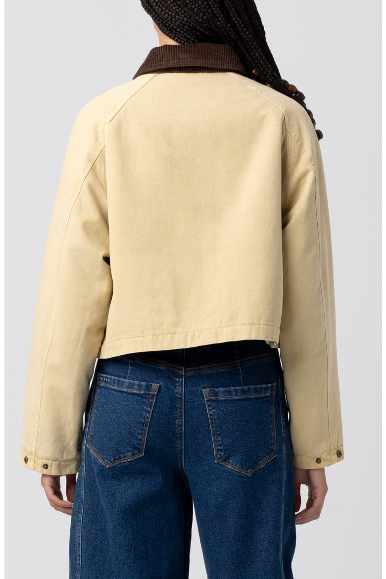 Crop Cotton Twill Jacket, Alternate, color, BREAKING CAMP