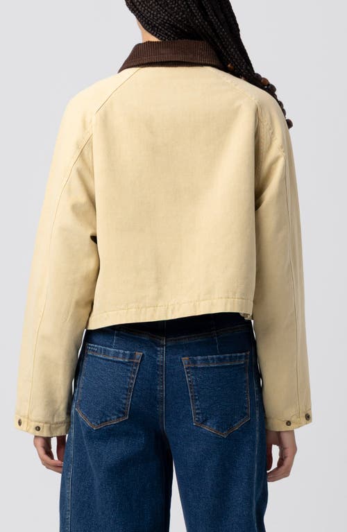Blanknyc Crop Cotton Twill Jacket In Brown