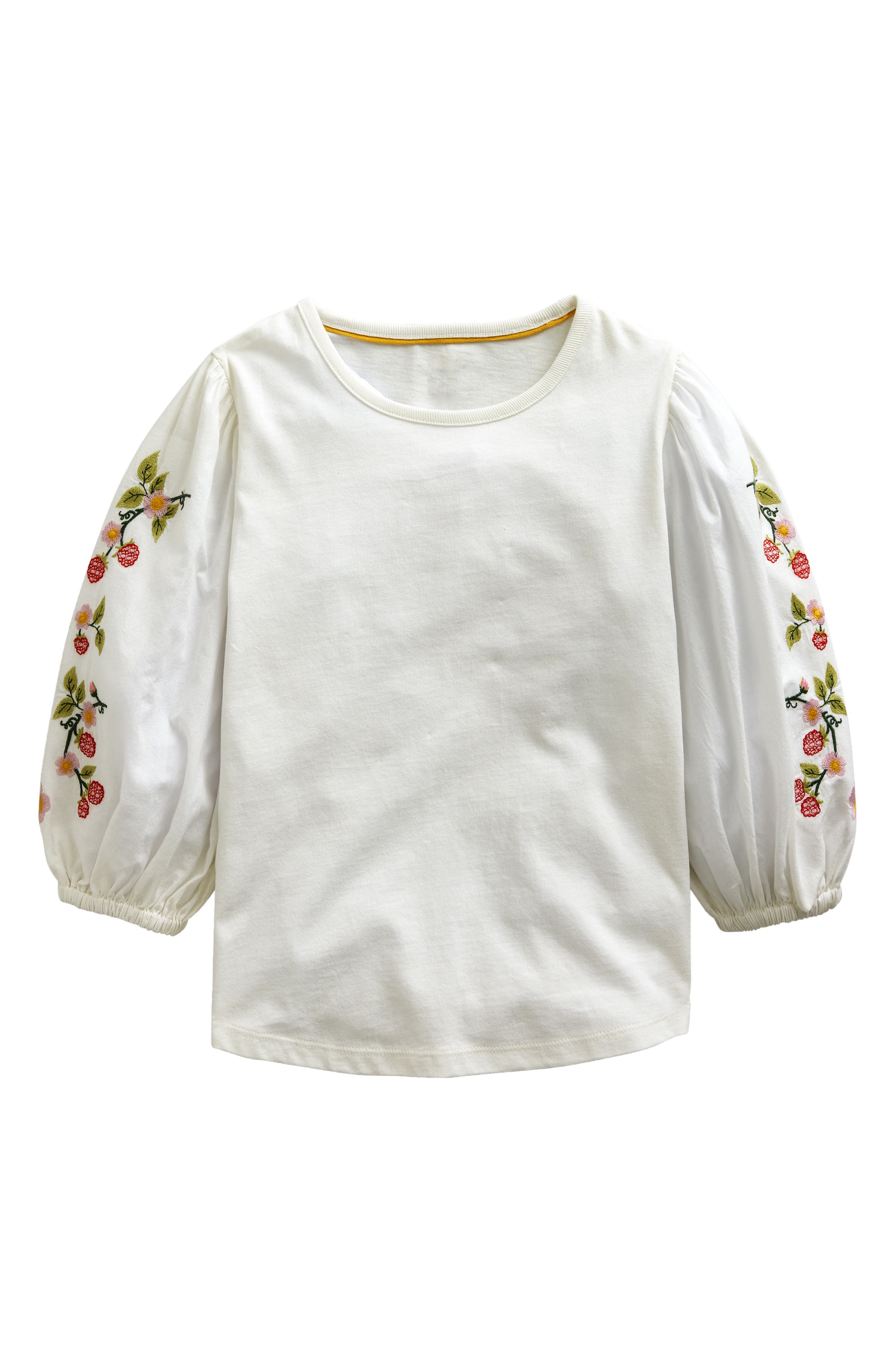 selected IVORY