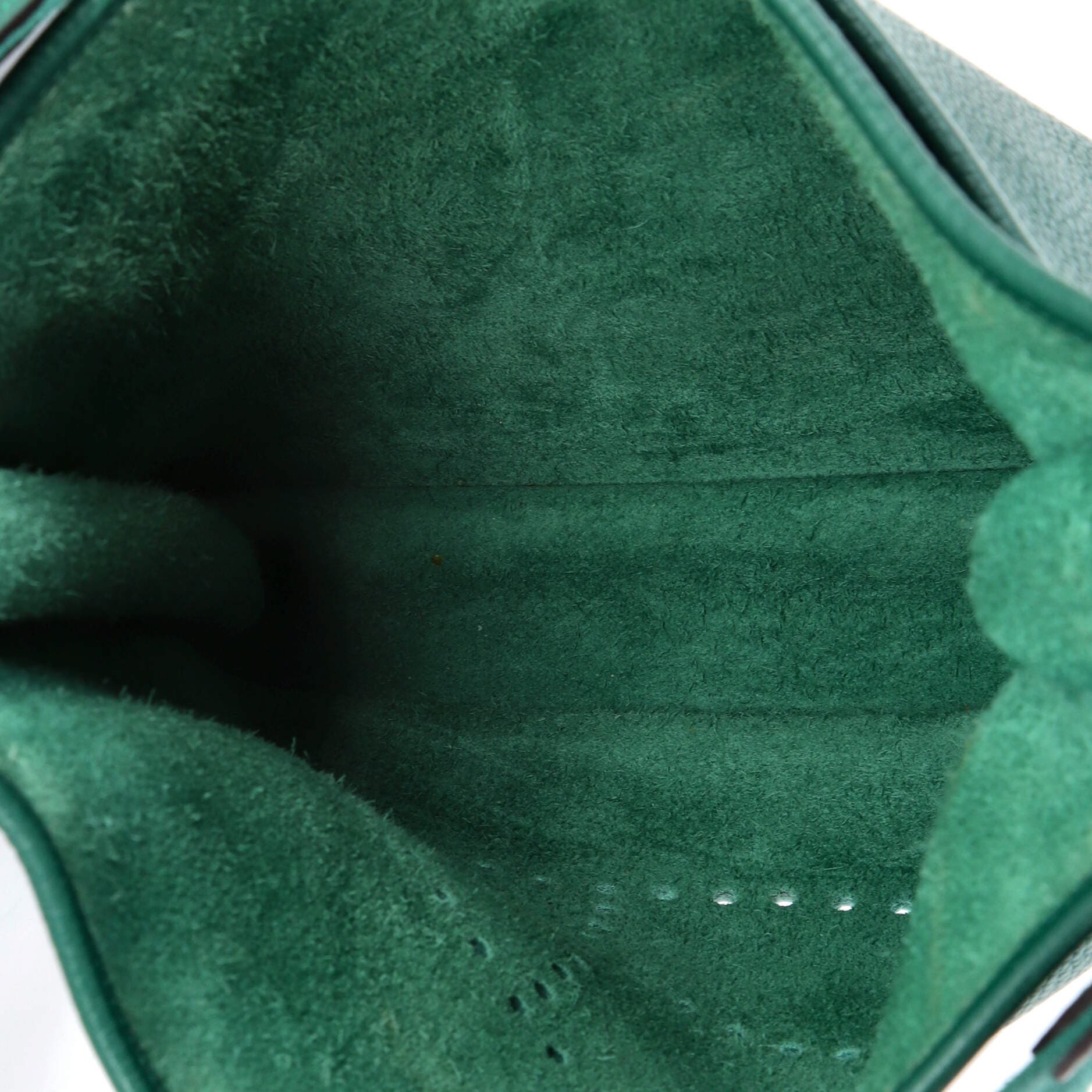 Evelyne Bag Gen III Clemence PM, Alternate, color, Green
