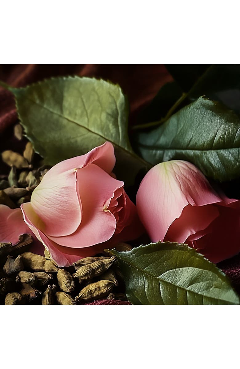 House of Sillage Nouez Moi Parfum, Alternate, color, 