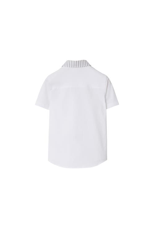 Burberry Thomas Bear Striped Cotton Shirt