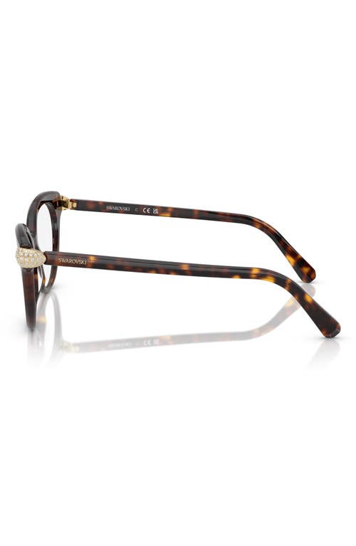 Swarovski 53mm Phantos Optical Glasses In Brown